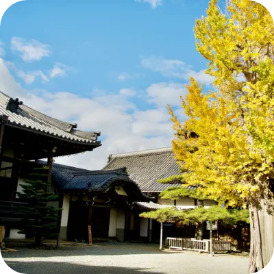 (2) Sencha Tea Ceremony and Japanese Cuisine Experience