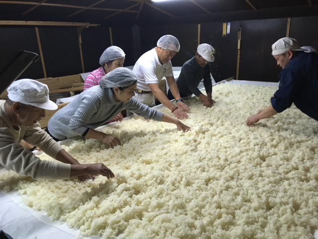 創業300余年浪花酒造 酒造り体験（酒1本のお土産付き!）